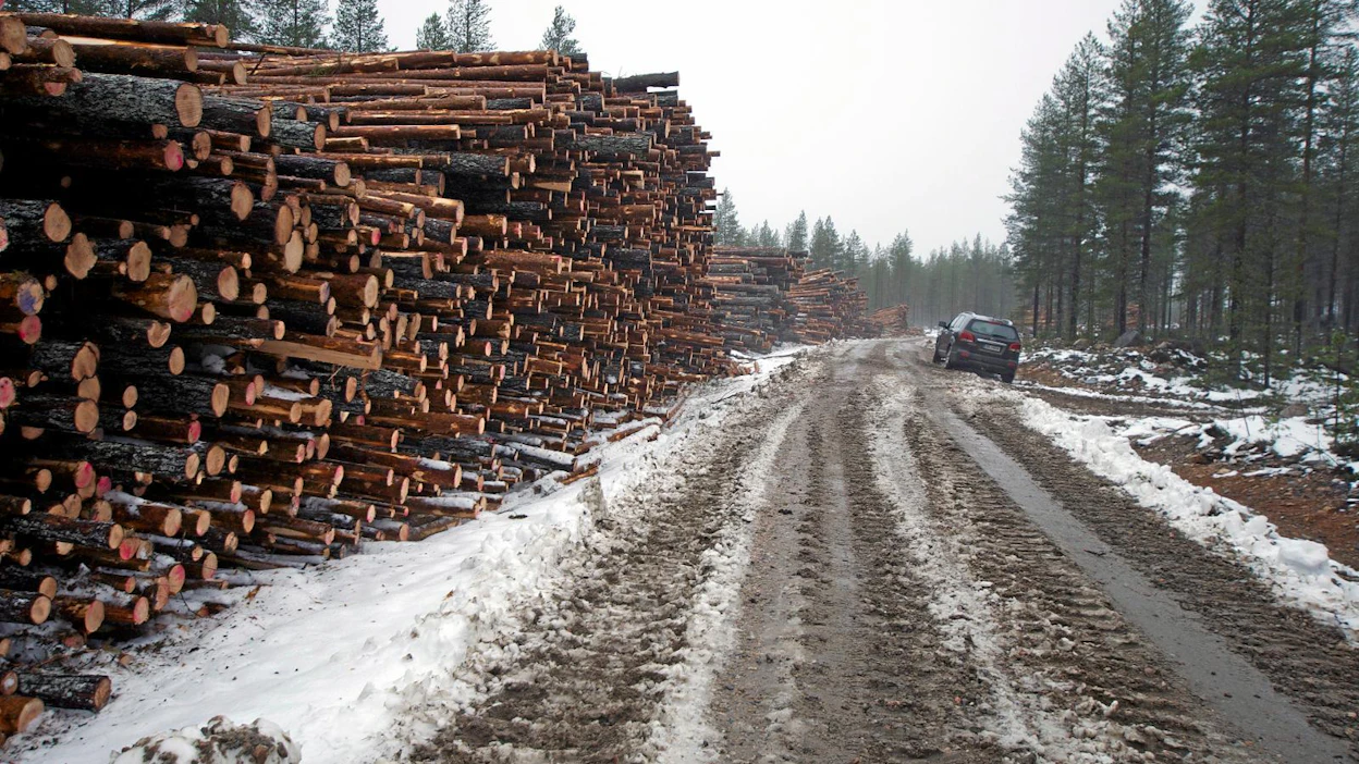 Metsäkeskus palasi vuoden vaihtuessa entiseen käytäntöön metsätiehankkeiden kemeratukipäätöksissä.