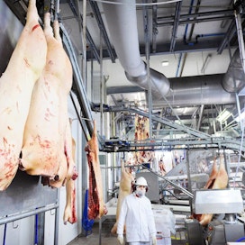 Snellman-konserni investoi 2021–2023 yli 80 miljoonaa euroa. Pietarsaareen toteutetaan ruokatehdas, jolla reagoidaan laadukkaan valmisruoan kysynnän kasvuun. Tämän lisäksi konserni investoi Pietarsaaren ja Keravan uusiin lähettämöihin. Snellmanin lihanleikkaamon sika- ja nautalinjat vuonna 2017.