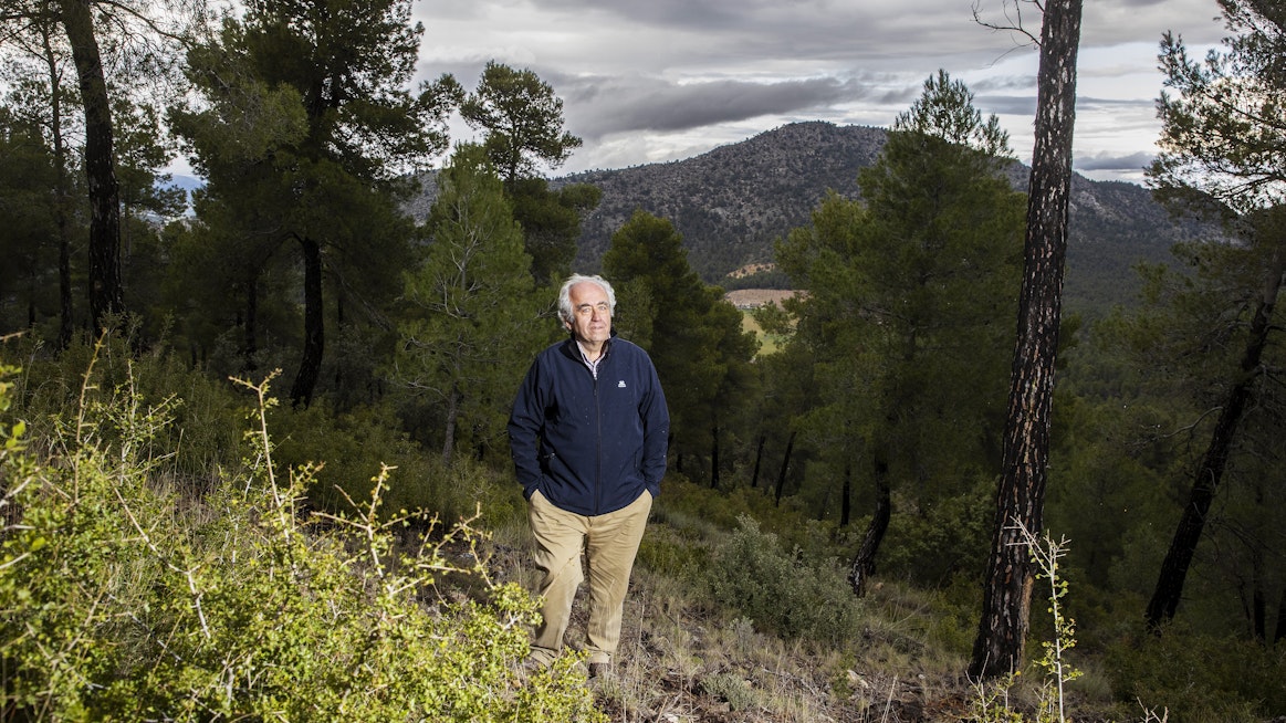 Francisco Carreño on ylpeä metsistään, joita hän on hoitanut 25 vuotta. Sitä ennen alueella keskityttiin vain maatalouteen, eikä kukaan hoitanut metsiä.
