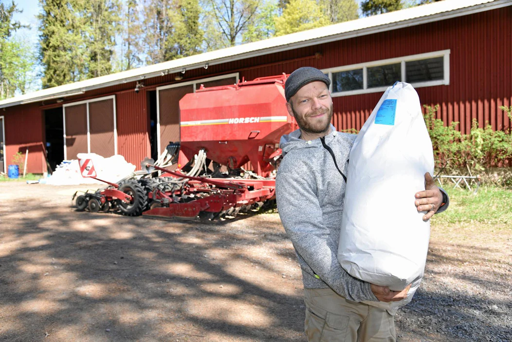 Suomalainen Finola on maailman johtava öljyhamppulajike, Ville Virtanen kertoo.