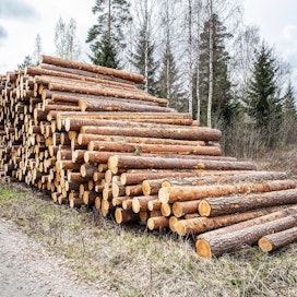 Enemmistö Suomen mepeistä pitäisi metsäasiat jäsenmaiden päätösvallassa.