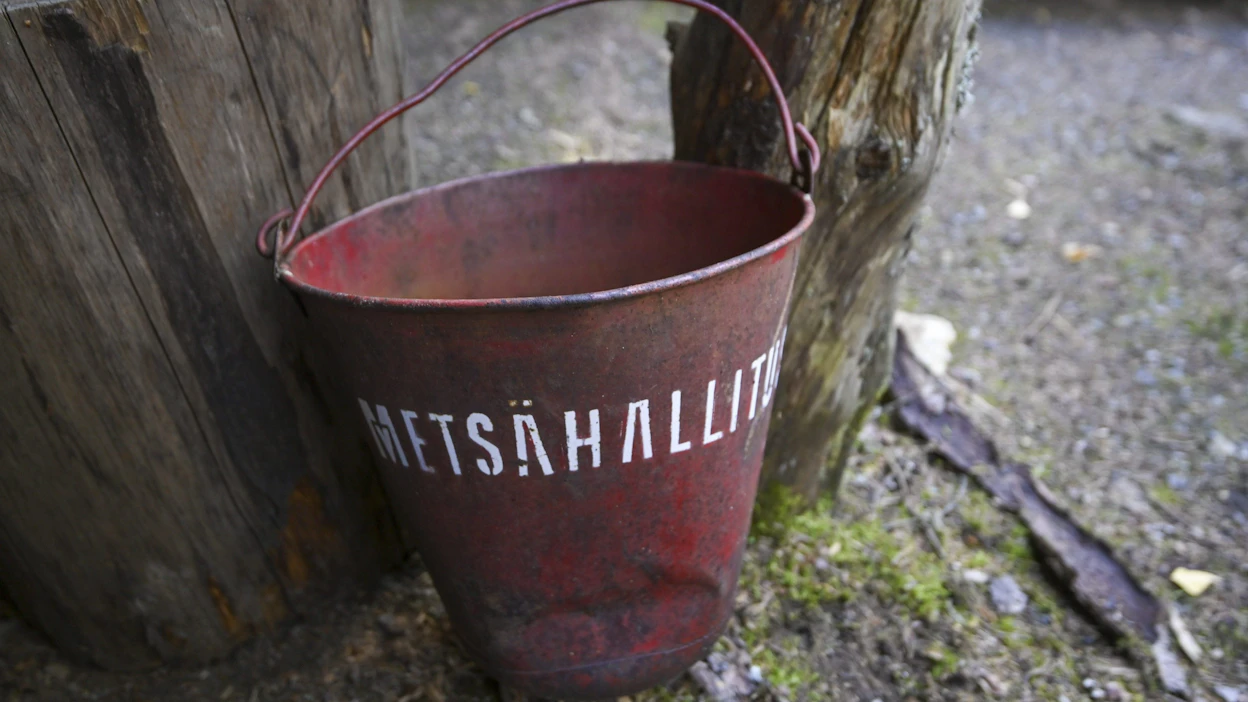 Metsähallituksen toimintaa kuvataan poikkeukselliseksi siksikin, että sillä on viranomaisrooli. Metsähallitus sanoo, ettei se ei ole pyrkinyt vaikuttamaan kenenkään muiden lausuntoihin. LEHTIKUVA / Markku Ulander.