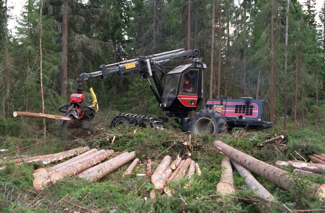 Suomalaisista 60 prosenttia katsoo, että Suomen ei pitäisi lisätä metsänhakkuita nykyiseltä tasolta.