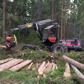 Suomalaisista 60 prosenttia katsoo, että Suomen ei pitäisi lisätä metsänhakkuita nykyiseltä tasolta.