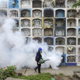 Hyttysiä savustettiin Nueva Esperanzan hautausmaalla Perun pääkaupungissa Limassa heinäkuussa. LEHTIKUVA/AFP