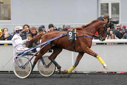 Belina Josselyn tässä valmistautumassa tammikuun Prix d'Ameriqueen, jossa sijoittui neloseksi.