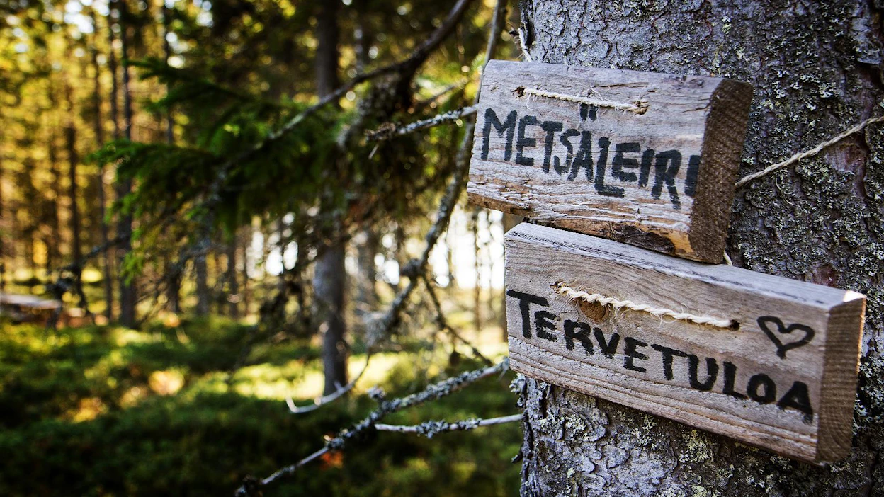 Ajatus metsäleiristä syntyi taimikkoa heinien keskeltä pelastaessa pari vuotta sitten. Tämä kesä 2016 on metsäleirin kolmas. Leirin kyltit syntyivät lautojen jämistä.
