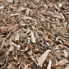 Puun tuonti Suomeen kasvoi tammi–syyskuussa kaikkiaan yhdeksän prosenttia 9,46 miljoonaan kuutiometriin, mistä kuitupuuta oli 54 prosenttia ja haketta 35 prosenttia.