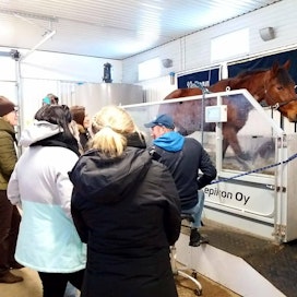 Etätyöpäivän viettäjät pääsivät töiden lomassa tutustumaan mm. Horse Awec -hevoskuntoutuskeskukseen.