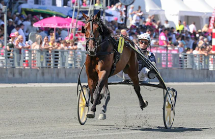 Jorma Kontio ajoi Not Afraidin viimeksi Sweden Cupin viitoseksi.
