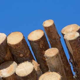 Metsänomistajilla on aiempaa enemmän puun hintaan kohdistuvia odotuksia.