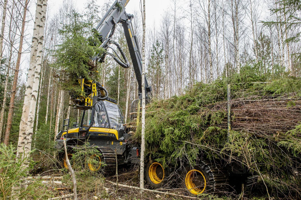Metsäkoneenkuljettaja Juuso Moilanen harvensi viime viikolla Tervon Talluskylässä Pohjois-Savossa yhdistelmäkoneella. Havupuut hän korjasi energiakäyttöön, mutta poistettavista koivuista syntyi kuitupuuta teollisuuden jalostettavaksi.