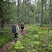 Luonnossa mieli lepää ja rauhoittuu.