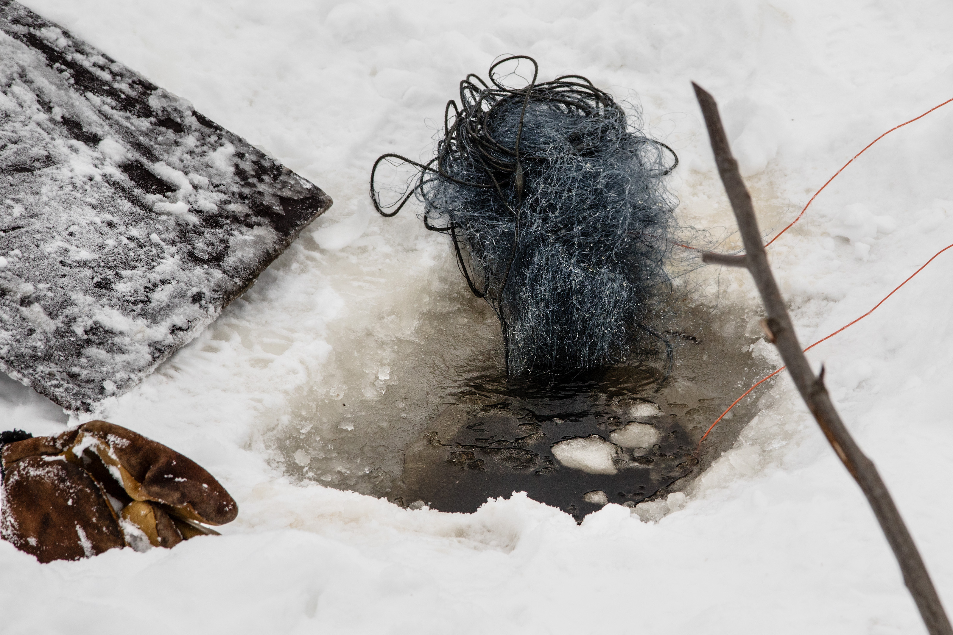 Verkkokalastus vaatii sen, että kalastonhoitomaksu on maksettuna. 