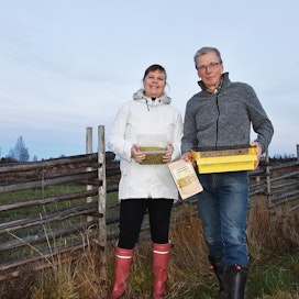 Marika Kamps ja Ahti Auno tuottivat tänä kesänä 60 kiloa luomusiitepölyä.
