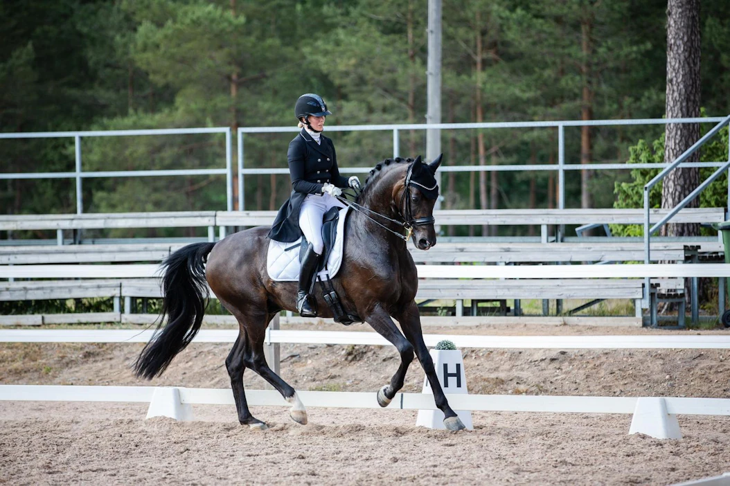 Kauden ensimmäinen kansallinen kilpailu Ypäjällä uudella hevosella Sir Fashionilla toi Anna von Wendtille kaksi luokkavoittoa.