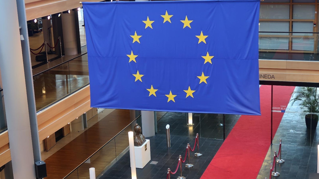 Eurovaalit ovat edessä alle puolen vuoden päästä.