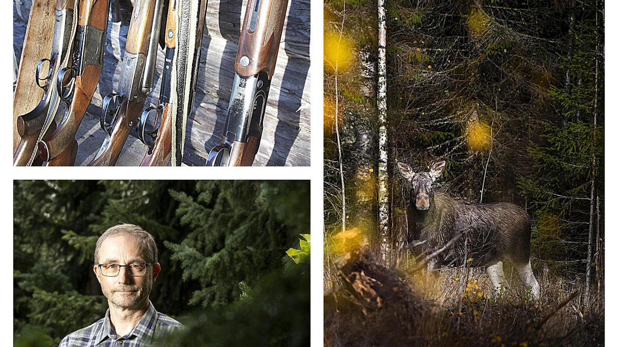 Metsästäjäliitto esittää metsästysammunnan abc-kurssia pakolliseksi edellytykseksi metsästyskortin saamiselle. "En ota kantaa siihen, onko metsästäjien aseenkäsittelytaidot nyt riittämättömiä, mutta aina voi tehdä paremmin", liiton toiminnanjohtaja Jaakko Silpola toteaa.