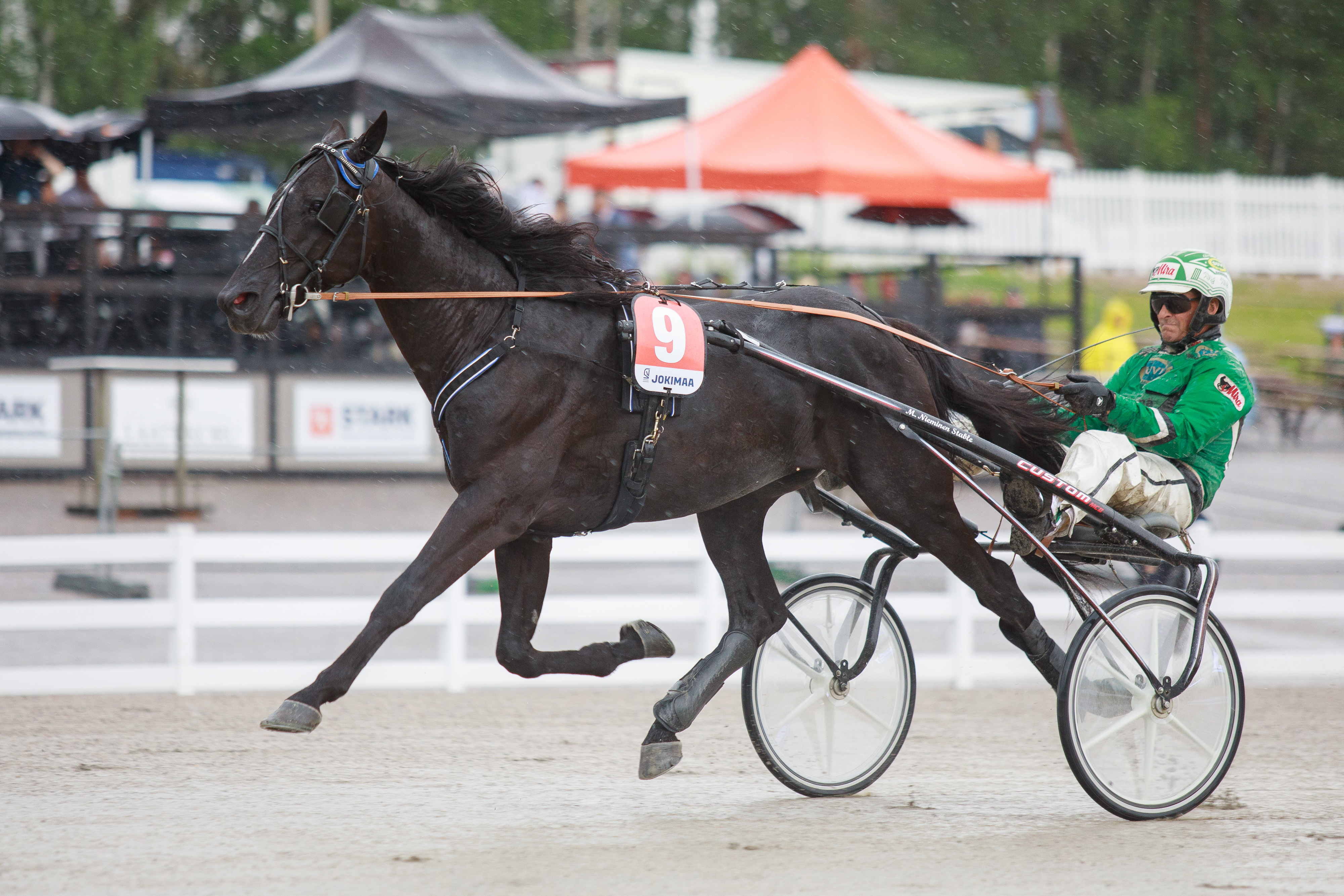 Menestysravuri Consalvo ei pääse tavoittelemaan jättipottia kesän Suur-Hollola-ajosta.