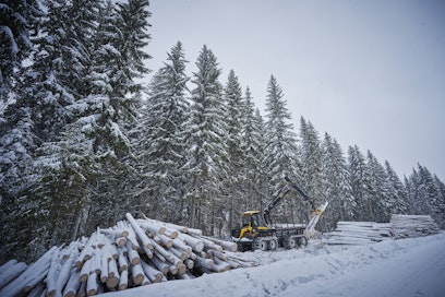 Vaikka puukauppaa on tehty alkuvuonna tavallista vähemmän, kuusitukki käy kaupaksi Etelä-Suomessa.