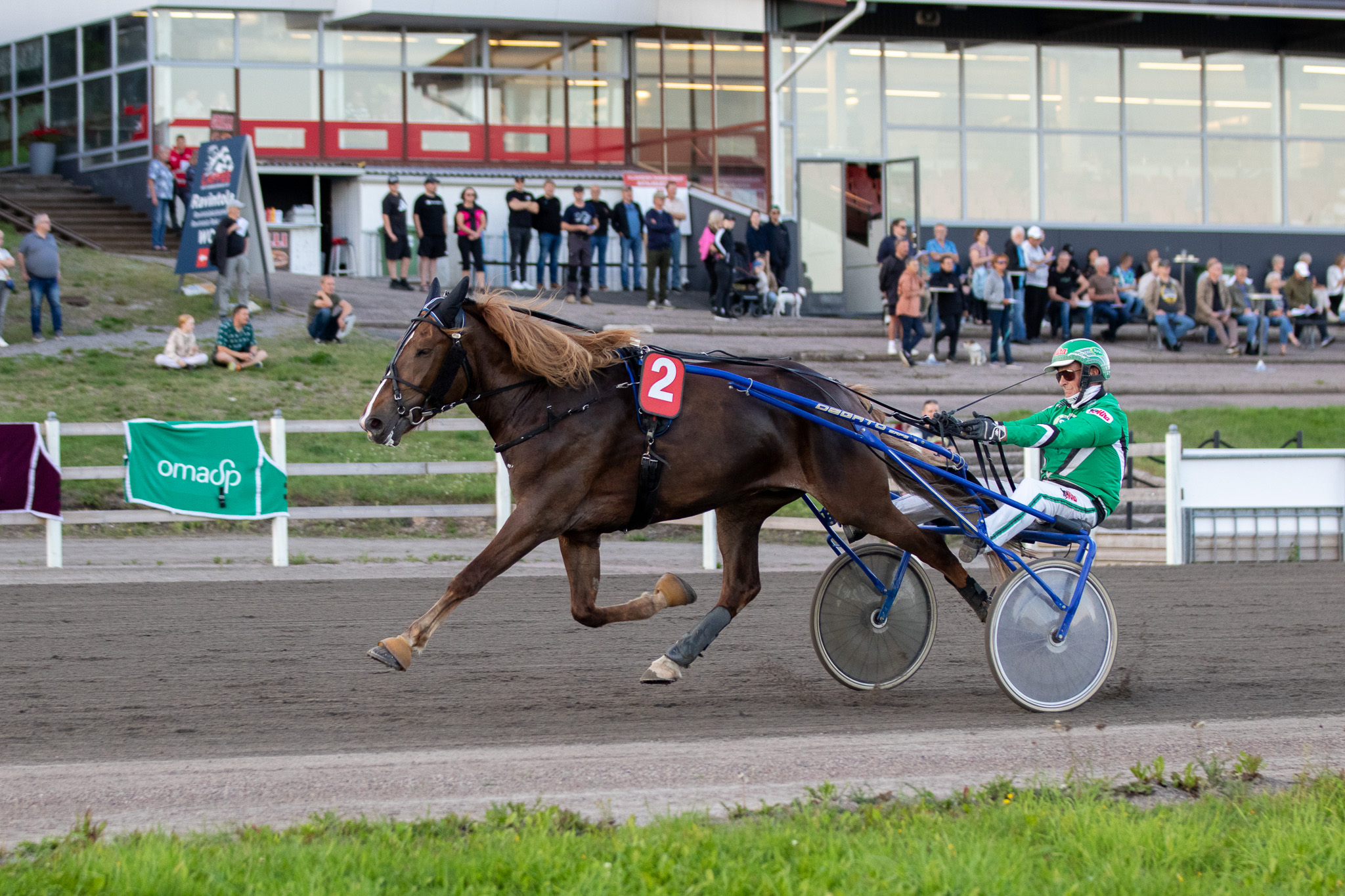Karsintansa varmaan tyyliin voittanut Henkinen on Villinmiehen Tammakilvan finaalin selvä suosikki. Ari Moilanen ohjastaa.
