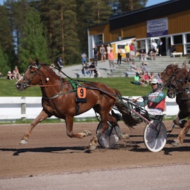 Kainuu-ajo on ollut Kajaanin ravikauden päätapahtuma. Kuva vuoden 2021 kisasta, jonka voitti Hannu Hietasen Joriini.