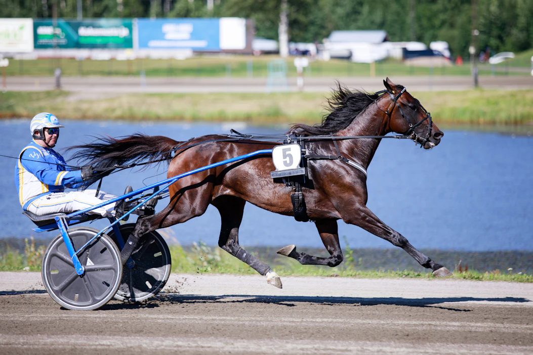Veijo Heiskasen ohjastama Kurri Jari Boko on vihjerivin toinen varma.