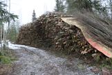 Puupohjaista polttoainetta on saatu suomalaisissa kokeiluissa tehdyksi, mutta sen hinta ei ole ollut kovin kilpailukykyinen.
