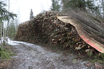 Puupohjaista polttoainetta on saatu suomalaisissa kokeiluissa tehdyksi, mutta sen hinta ei ole ollut kovin kilpailukykyinen. 