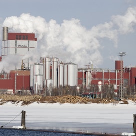 Uimaharjussa Joensuussa toimivan Stora Enson Enocellin tehtaan vuotuinen kapasiteetti on 630 000 tonnia havu- ja lehtipuusellua. Tehdas työllistää noin 280 henkilöä. 