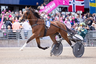 Hannu Torvinen jatkaa Teivossa American Cooperin ohjaksissa.