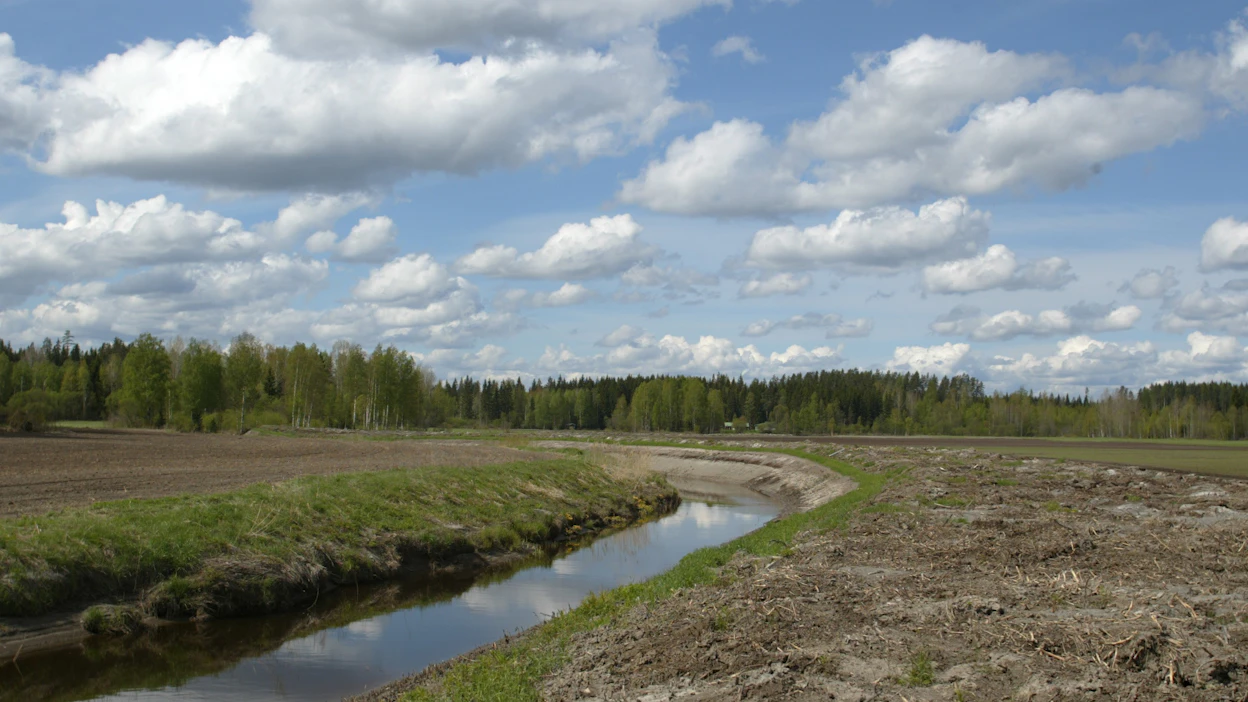 Viime vuosina peltoa raivanneet ovat toivoneet lohkoilleen korvauskelpoisuutta. Nyt siihen aukeaa mahdollisuus, jos saman ely-keskuksen sisällä poistuu peltoa viljelystä.