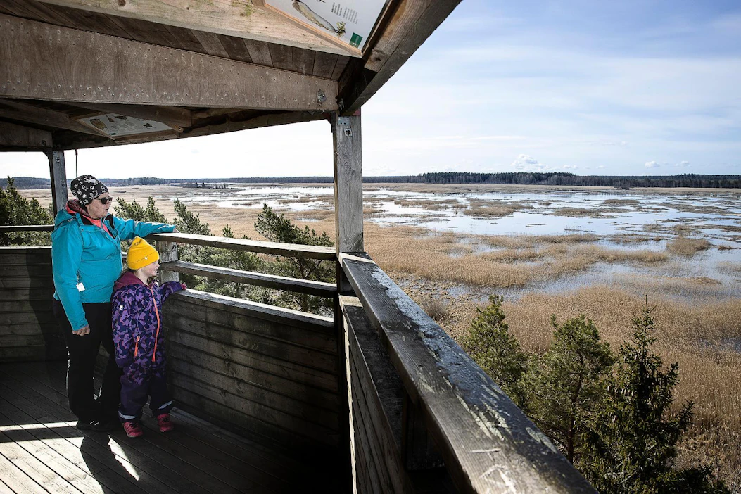 Laitilalainen Helmi Salminen (edessä) saapui Puurijärven Kärjenkallion lintutorniin ihailemaan maisemia ja lintujen runsautta Punkalaitumelta, jossa hän oli viettämässä vapaapäivää isoäitinsä Anni Kallioisen luona.