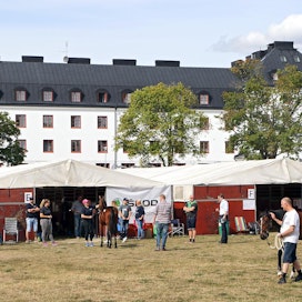 Aiemmin Sweden International Yearling Sale -huutokauppa on järjestetty Sigtunassa Wenngarnin linnan miljöössä. Nyt se järjestettiin ensimmäistä kertaa Solvallassa ja internetissä.