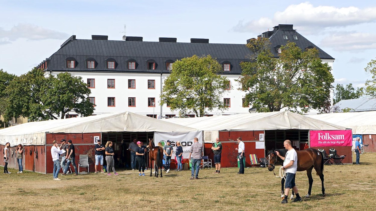 Aiemmin Sweden International Yearling Sale -huutokauppa on järjestetty Sigtunassa Wenngarnin linnan miljöössä. Nyt se järjestettiin ensimmäistä kertaa Solvallassa ja internetissä.
