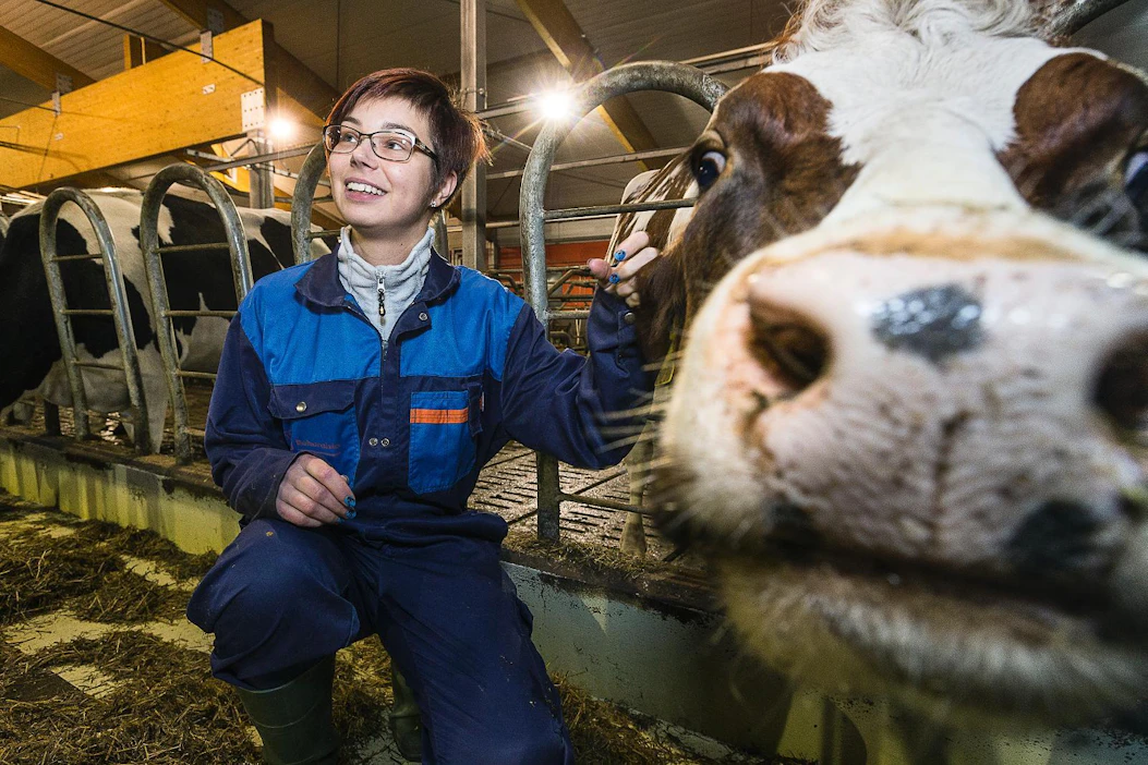 ”Eläimen hyvällä hoidolla on tärkeämpi merkitys kuin navetan rakenteilla", muistuttaa agrologiopiskelija Teija Hellberg.