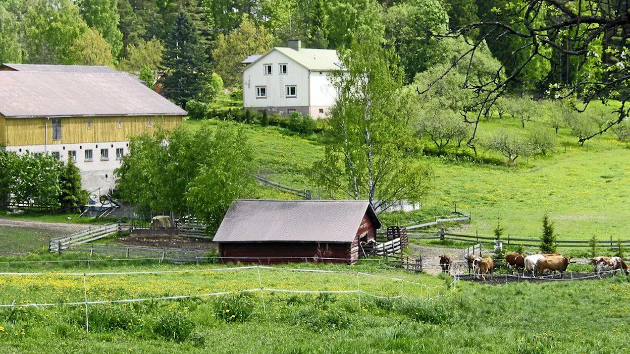 Pakasen maitotila, lypsykarja, Nummi-Pusulassa, maaseutumaisema, maalaismaisema, laidun, maatila