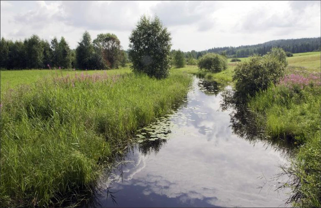 Tänä keväänä päättyvää ympäristötukisitoumusta voi jatkaa pääosiltaan ennallaan kahdella vuodella. Pieniä muutoksia voi tehdä jatkokauden ajaksi valitsemiinsa lisätoimenpiteisiin. Markku Vuorikari