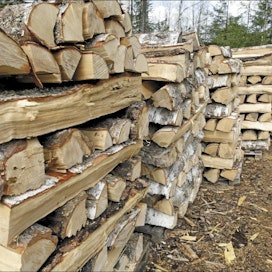 Mahdollisuus polttopuun korjuuseen omasta metsästä on osalle metsänomistajista hakkuutuloja tärkeämpää. Markku Vuorikari
