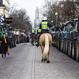 Poliisihevoset pitivät yllä järjestystä Helsingissä traktorimarssin aikana. Traktorit oli parkkeerattu siististi Unioninkadun varteen.