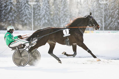 Deangelo on esiintynyt edukseen alkukauden kilpailuissa. Tällä kertaa ruuna oli vahvin johtavan rinnalta.