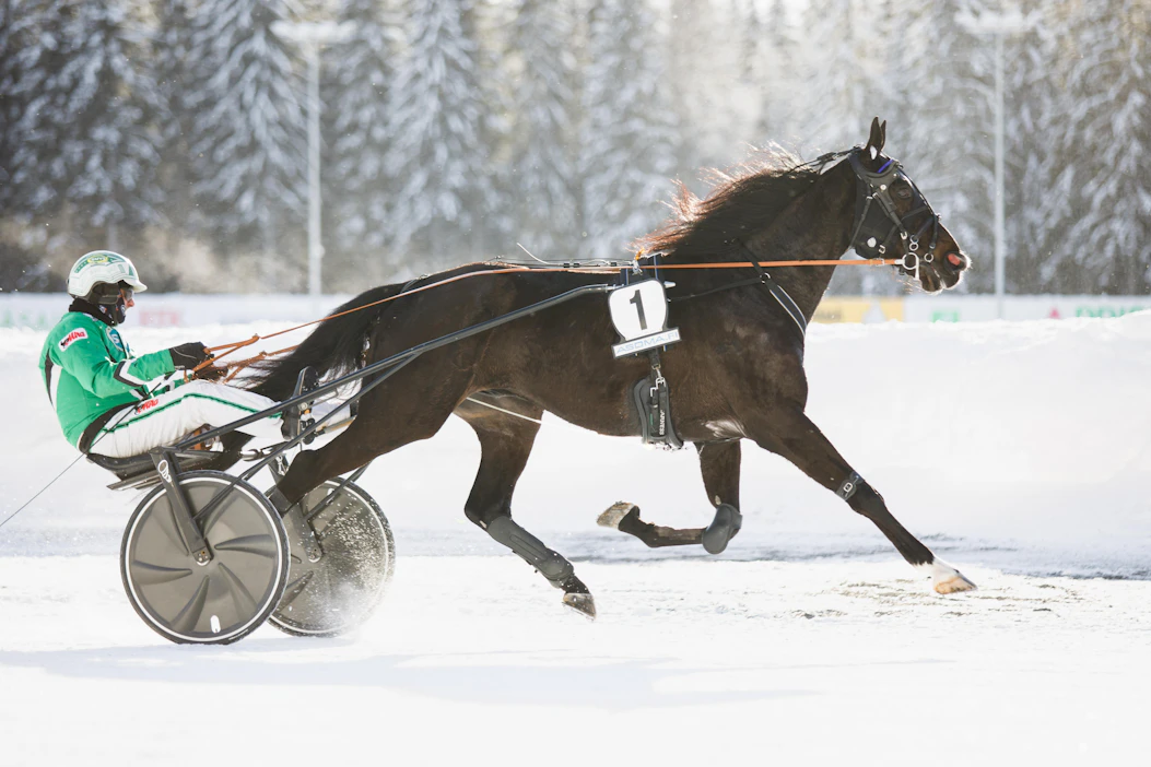 Deangelo on esiintynyt edukseen alkukauden kilpailuissa. Tällä kertaa ruuna oli vahvin johtavan rinnalta.