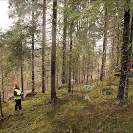 Raija ja Ossi Tuuliaisen säätiön omistamassa metsässä Luumäellä rinne jätetään käsittelemättä, Anu Rautiainen näyttää. FSC-sertifikaatti edellyttää, että viisi prosenttia metsästä on pysyvästi metsätalouden ulkopuolella. Ari Nakari