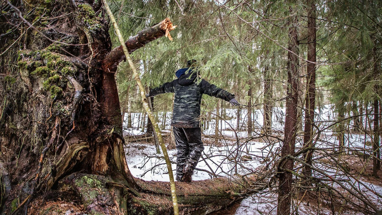 Jokamiehenoikeuksilla tarkoitetaan sitä, että jokainen saa käyttää luontoa riippumatta siitä, kuka alueen omistaa.