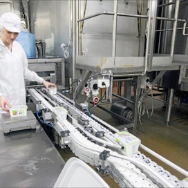Raejuusto on Maitomaalle tärkeä tuote. Kertu Tauram tarkastaa reajuustopakkausten painoja Maitomaan tuotantolaitoksessa Suonenjoella. Pentti Vänskä