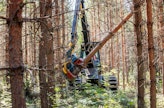 Metsänomistajan tulee tehdä Suomen metsäkeskukselle metsänkäyttöilmoitus vähintään 10 päivää ennen kaupallista metsänhakkuuta tai toimenpiteitä metsälain määrittelemässä erityisen tärkeässä elinympäristössä. Vuonna 2018 Metsäkeskus otti vastaan 136 000 metsänkäyttöilmoitusta.