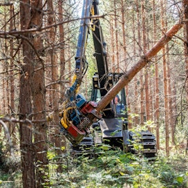 Metsänomistajan tulee tehdä Suomen metsäkeskukselle metsänkäyttöilmoitus vähintään 10 päivää ennen kaupallista metsänhakkuuta tai toimenpiteitä metsälain määrittelemässä erityisen tärkeässä elinympäristössä. Vuonna 2018 Metsäkeskus otti vastaan 136 000 metsänkäyttöilmoitusta.