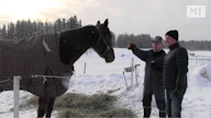 Heikki Pellikka ja Kari Lähdekorpi juttelevat Litlle Bossista, joka voitti 3-vuotiskaudellaan kaikki seitsemän starttiaan.