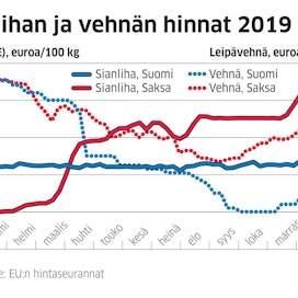 Sianlihan hinta pysyi Suomessa koko vuoden hyvin vakaana. Vehnän hinta laski lujaa.