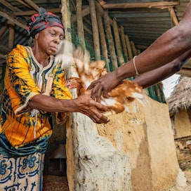 Liberialainen Sundaymai Johnson sai  lokakuussa 30 kanaa kansalaisjärjestöltä PNO:lta. Myymällä  munat takaisin emokanalaan hän saa tuloja perheelleen.